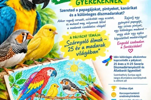 A Szárnyaló álmok – 25 év a madarak világában pályázat szervezői illusztrációja