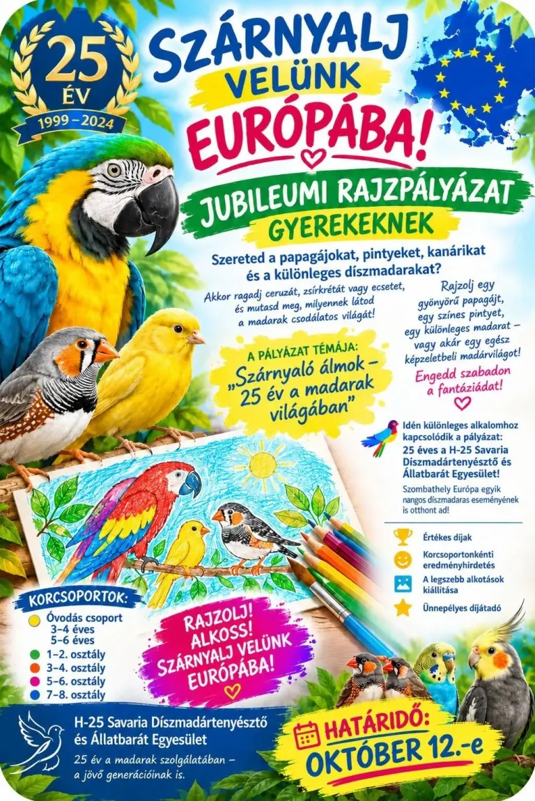 Szárnyaló álmok – 25 év a madarak világában – rajzpályázat